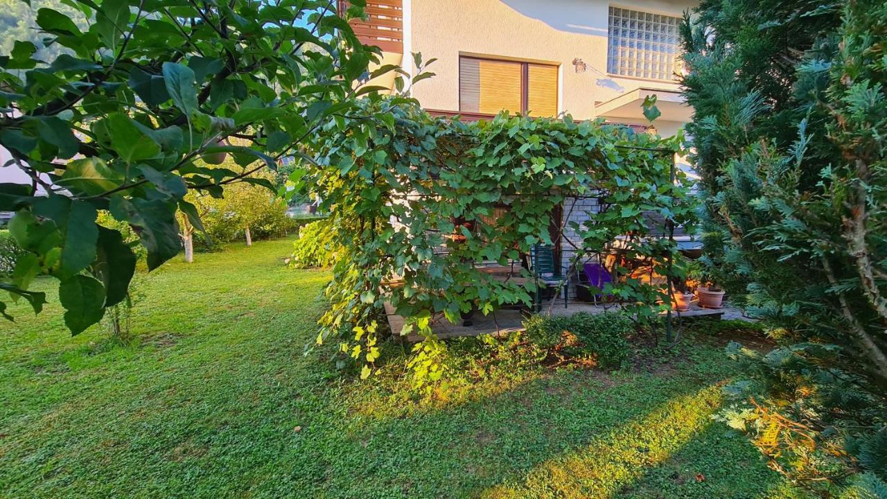 Apartment Ajdna Zirovnica Exteriör bild