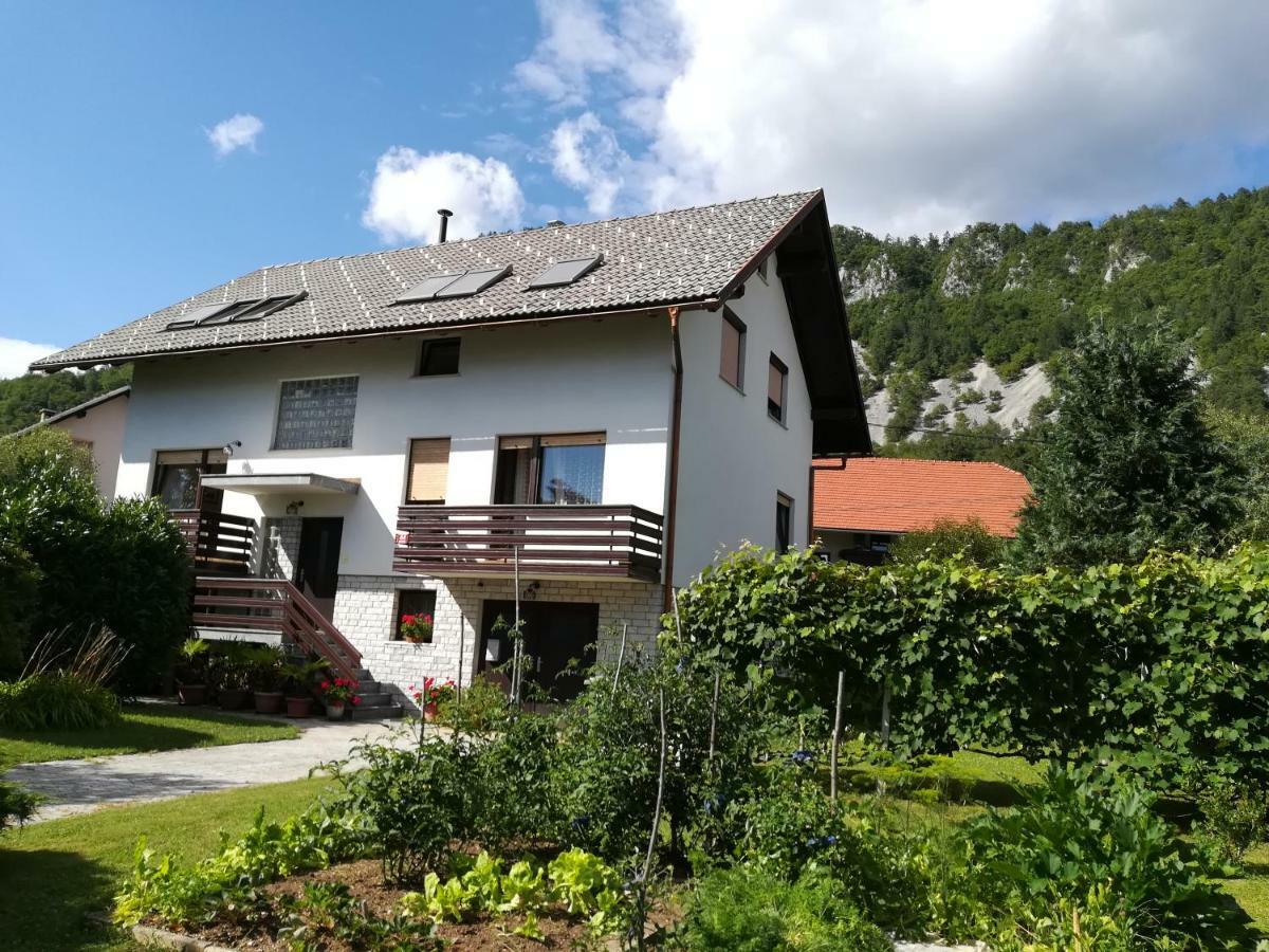 Apartment Ajdna Zirovnica Exteriör bild